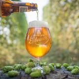 TẠI SAO BIA CÓ VỊ ĐẮNG VÀ MÙI THƠM ĐẶC TRƯNG?