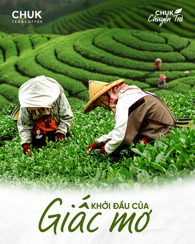 Chuk Chuyện Trà - KHỞI ĐẦU CỦA GIẤC MƠ