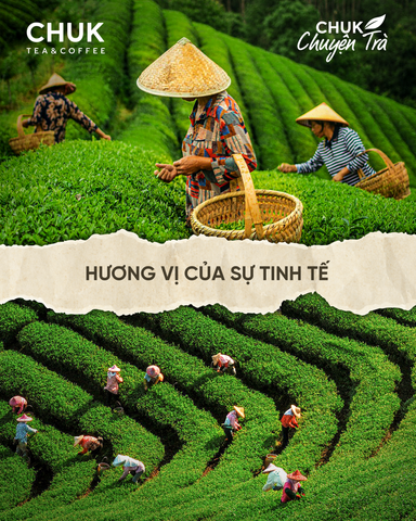Chuk Chuyện Trà - HƯƠNG VỊ CỦA SỰ TINH TẾ