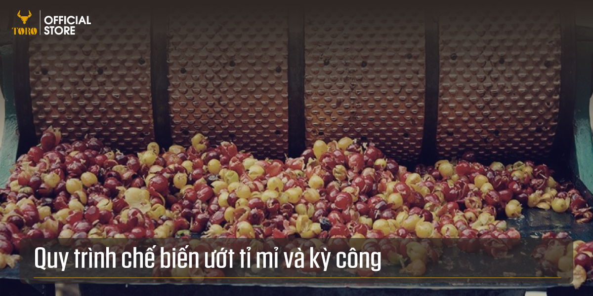 Cà phê bột Toro Robusta thượng hạng nguyên chất 100%