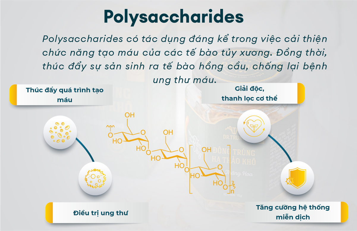 Polysacharic trong đông trùng hạ thảo