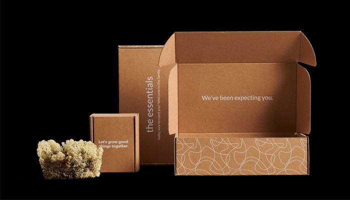 So sánh các loại thùng carton 3 lớp, 5 lớp và 7 lớp. Nên sử dụng loại nào?