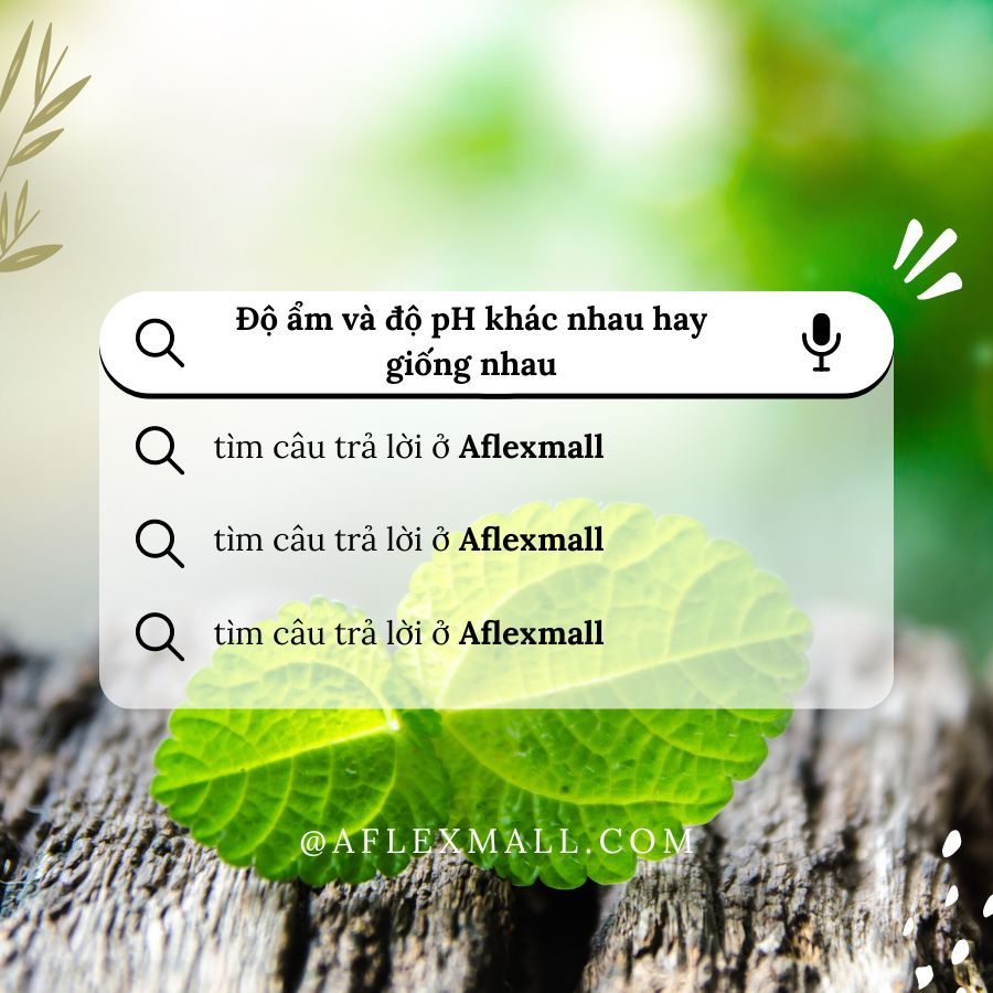 Độ ẩm và độ pH giống nhau hay khác nhau? Có ích lợi gì trong việc chăm sóc cô bé?