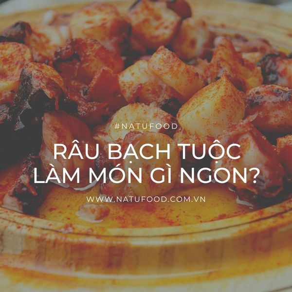 Râu Bạch Tuộc Làm Món Gì Ngon?