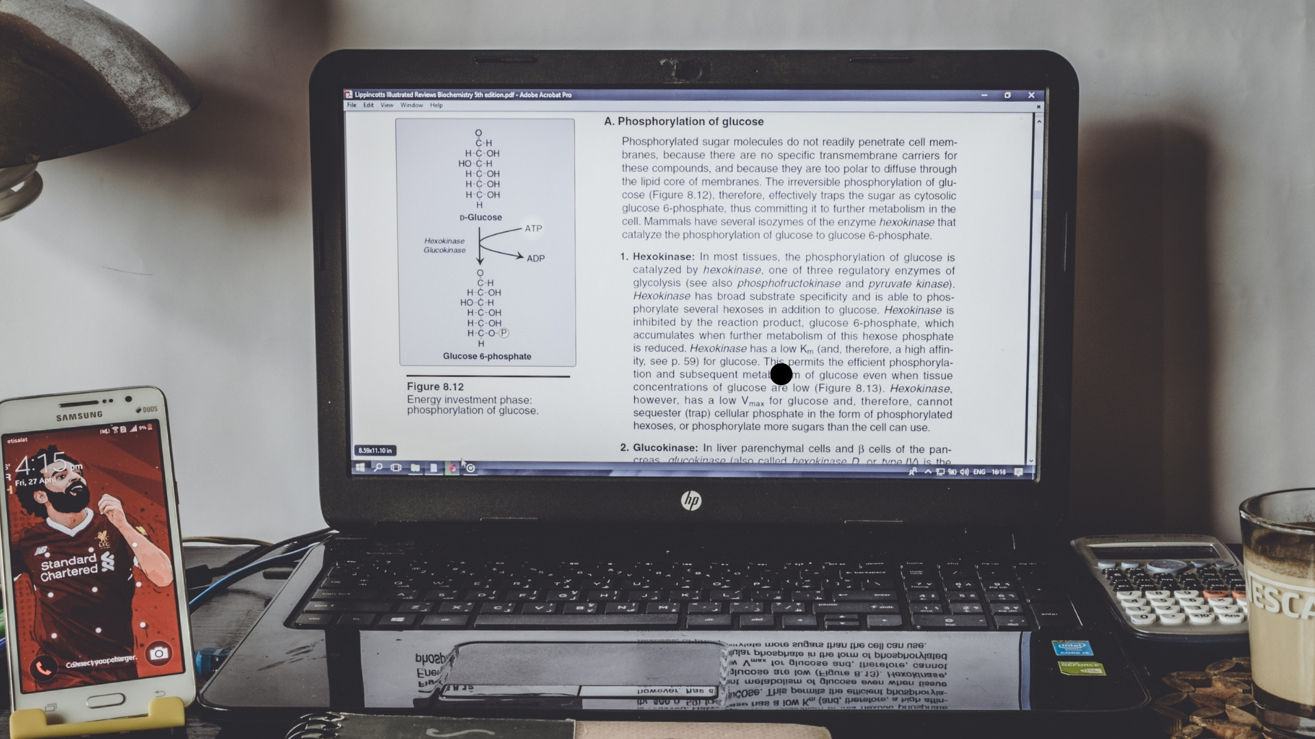 Laptop HP - Thương hiệu uy tín, dễ sử dụng, dễ bảo hành