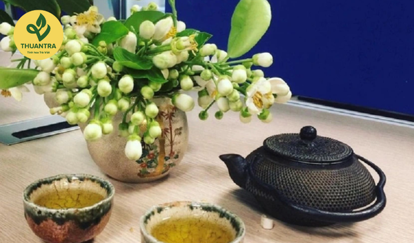 Hương Trà Hoa Bưởi – Ký Ức Văn Hóa Trong Ngõ Nhỏ Hà Nội