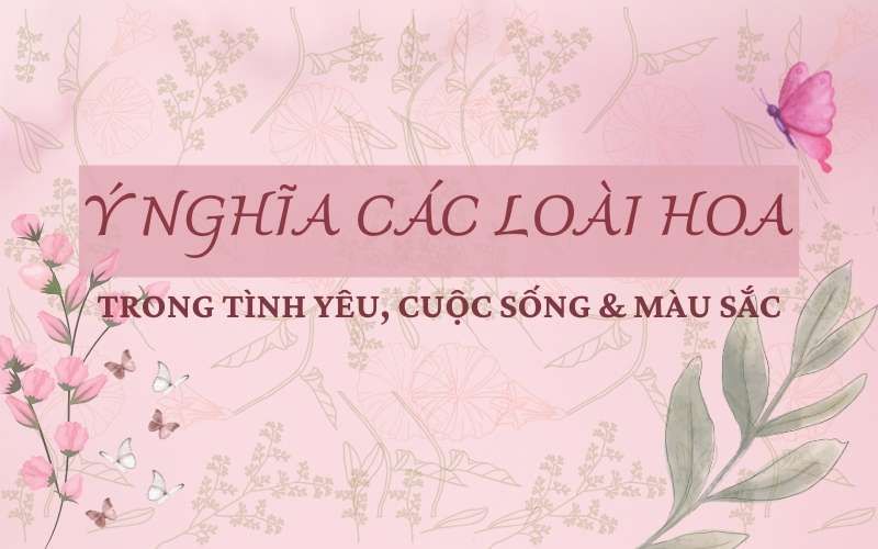 Ý nghĩa các loài hoa phổ biến trong tình yêu, cuộc sống và màu sắc