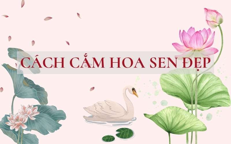 20 cách cắm hoa sen trên bàn thờ cúng Phật đẹp đơn giản tươi lâu