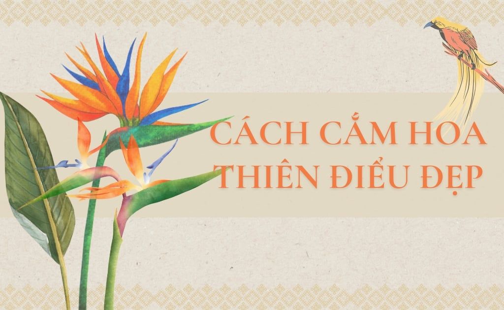 Cách cắm hoa Thiên Điểu đẹp, nhanh nở, tươi lâu, độc lạ nhất