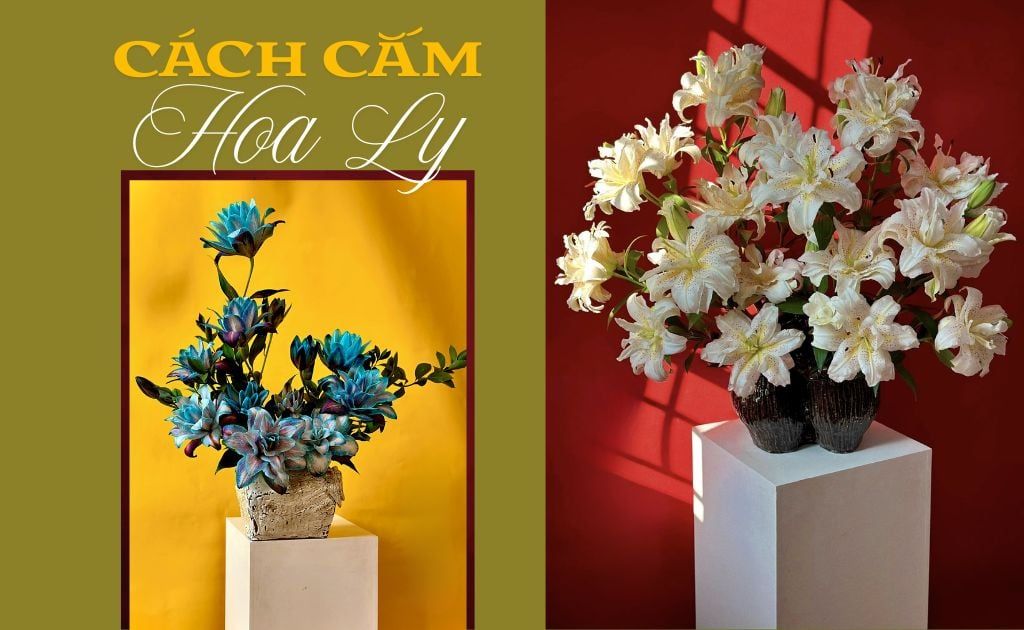 20 Cách cắm hoa ly đẹp mắt và tươi lâu, độc đáo nghệ thuật nhất