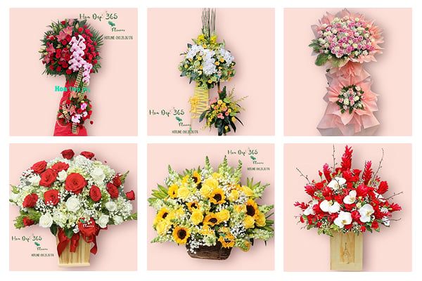 Đặt Hoa Khai Trương: Gợi Ý Mẫu Hoa Đẹp, Giá Tốt, Giao Nhanh Tại Flosa