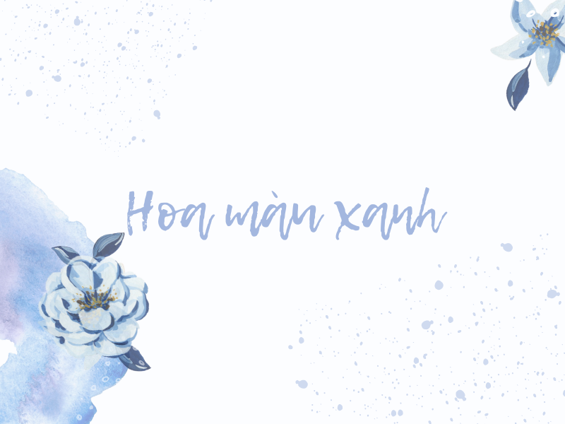 10+ Hoa Màu Xanh Dương Đẹp, Ấn Tượng & Ý Nghĩa Tặng 20/10 – HoaĐẹp365