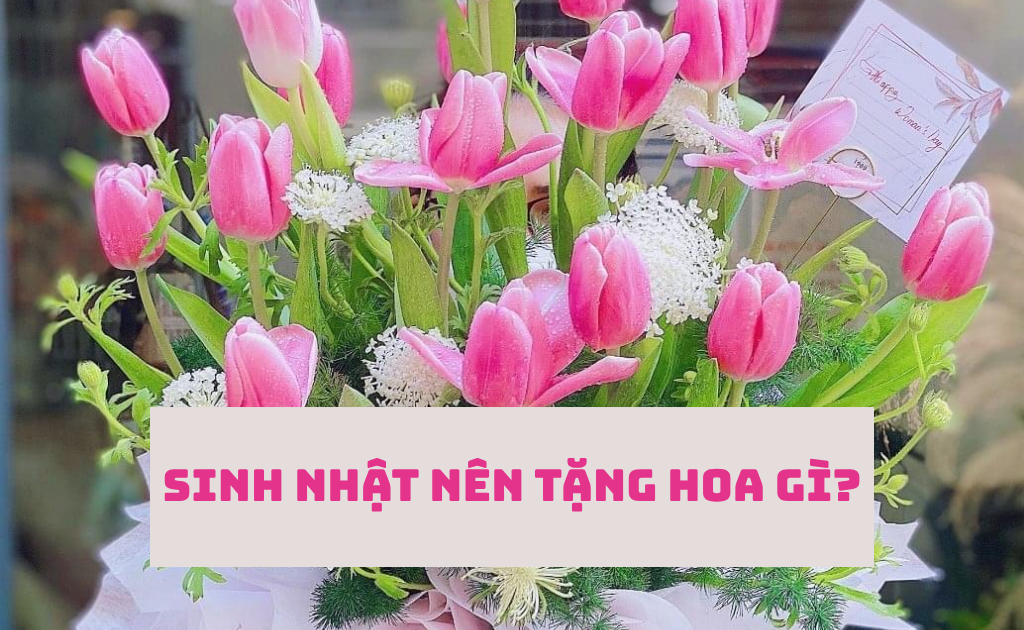 Sinh nhật nên tặng hoa gì? 20 Loài hoa ý đẹp ý nghĩa theo tháng sinh