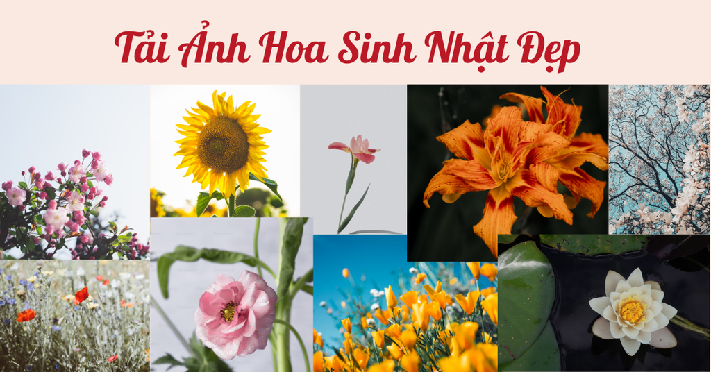 Tải Ảnh Hoa Sinh Nhật Đẹp 2025 Miễn Phí Kèm Lời Chúc Ý Nghĩa