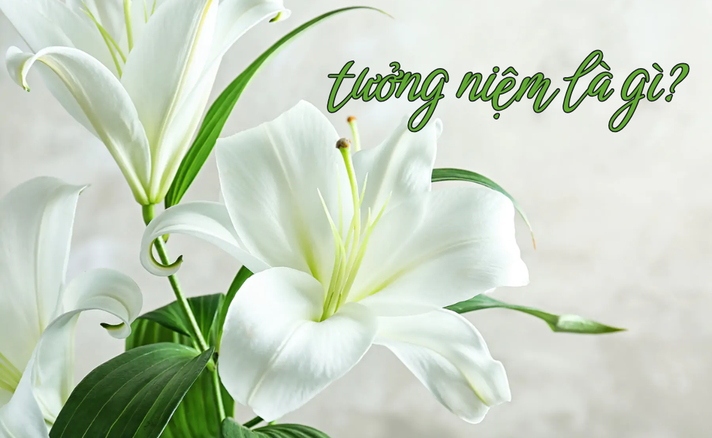 Tưởng niệm là gì? Hoa tưởng niệm người đã mất và ý nghĩa hay nhất 2025