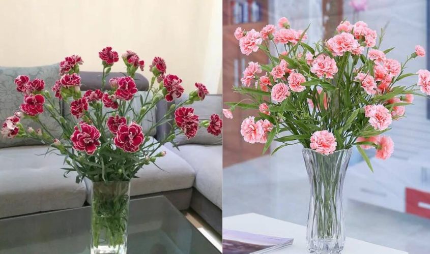 Cách cắm hoa phăng đơn sắc tinh tế