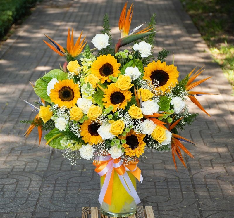 Cách cắm hoa cẩm chướng mix hướng dương