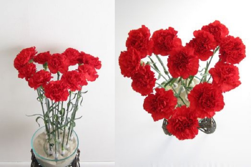 Cách cắm hoa phăng đỏ hình trái tim