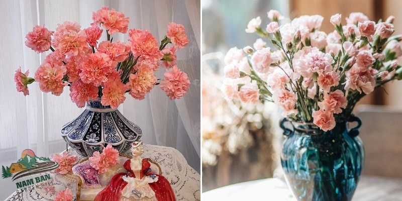 Cách cắm hoa cẩm chướng để bàn đơn giản