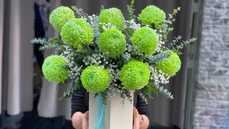 Màu xanh lá của cúc mẫu đơn tượng trưng cho tình yêu đơn phương