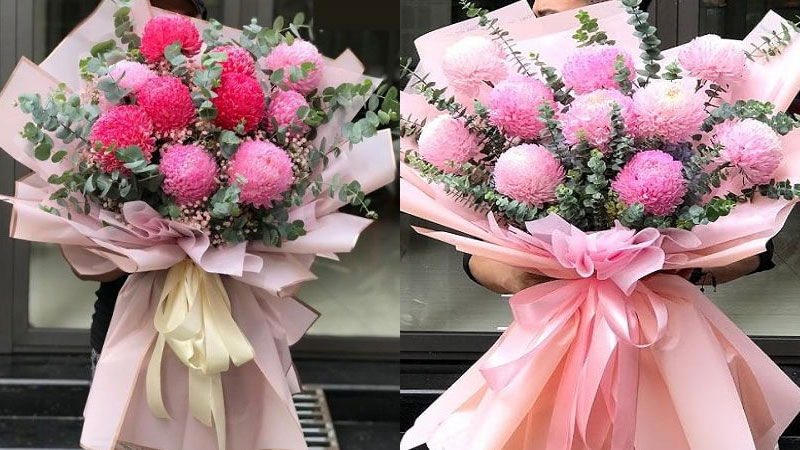 Hoa cúc mẫu đơn hồng: Mang ý nghĩa về sự thấu hiểu, sự lãng mạn trong tình yêu. Ý nghĩa hoa cúc mẫu đơn hồng còn là biểu hiện của tình cảm mãnh liệt, nồng cháy và chân thành.