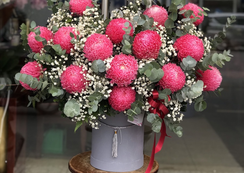 Hoa cúc mẫu đơn đại diện cho lòng chung thủy trong tình bạn