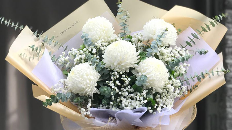 Cúc mẫu đơn trắng: Tượng trưng cho sự thuần khiết, giản dị và vẻ đẹp tinh khôi, trong sáng.