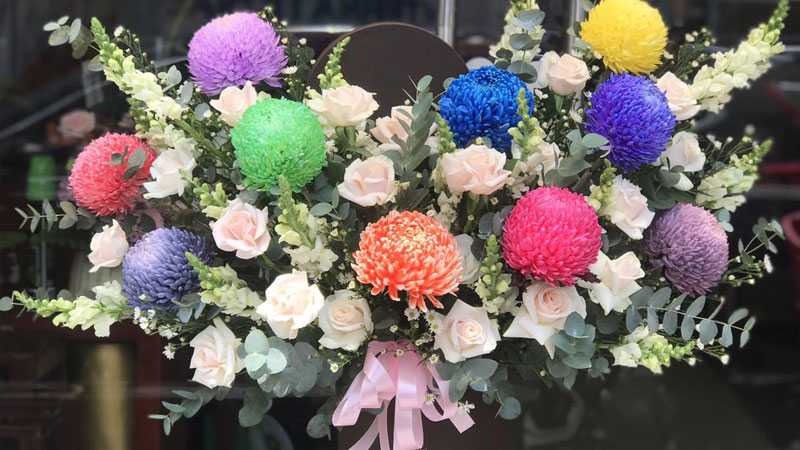 Đặc điểm nổi bật của hoa cúc mẫu đơn về kích thước và màu sắc đa dạng