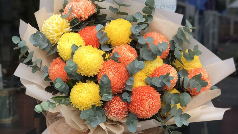 Cúc mẫu đơn vàng: Tượng trưng cho sự thành công, thịnh vượng và may mắn. Cúc mẫu đơn vàng thường được lựa chọn để tặng trong các dịp khai trương, chúc mừng thành tựu hay các lễ kỷ niệm quan trọng.