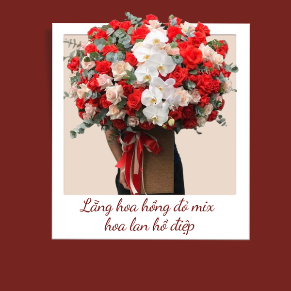 Lẵng hoa hồng đỏ mix hoa lan hồ điệp vô cùng đẹp mắt