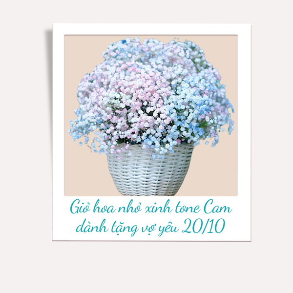 Giỏ hoa baby đáng yêu dành tặng bạn gái nhân 20/10.