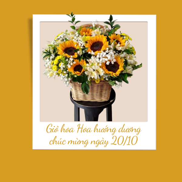 Hoa hướng dương luôn là một lựa chọn hoàn hảo để thể hiện sự biết ơn đối với cô giáo.
