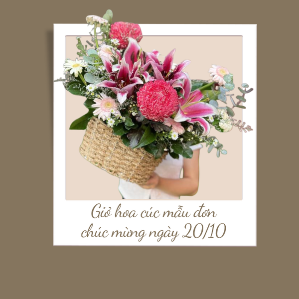 Giỏ hoa cúc mẫu đơn đỏ mix ly hồng và đồng tiền vô cùng đáng yêu