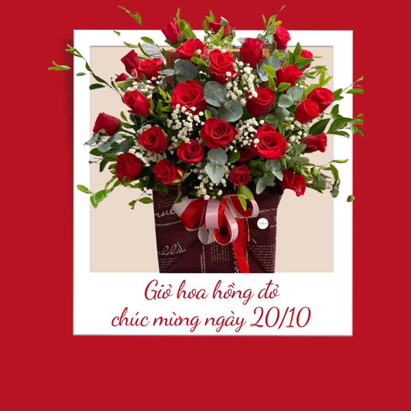 Giỏ hoa hồng đỏ Ohara nhập khẩu cao cấp.