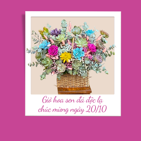 Giỏ hoa sen đá thể hiện sự biết ơn đến quý thầy cô giáo.
