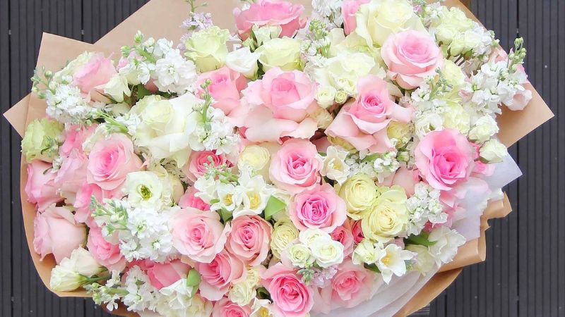 Hoa hồng Ecuador hồng tượng trưng cho crush