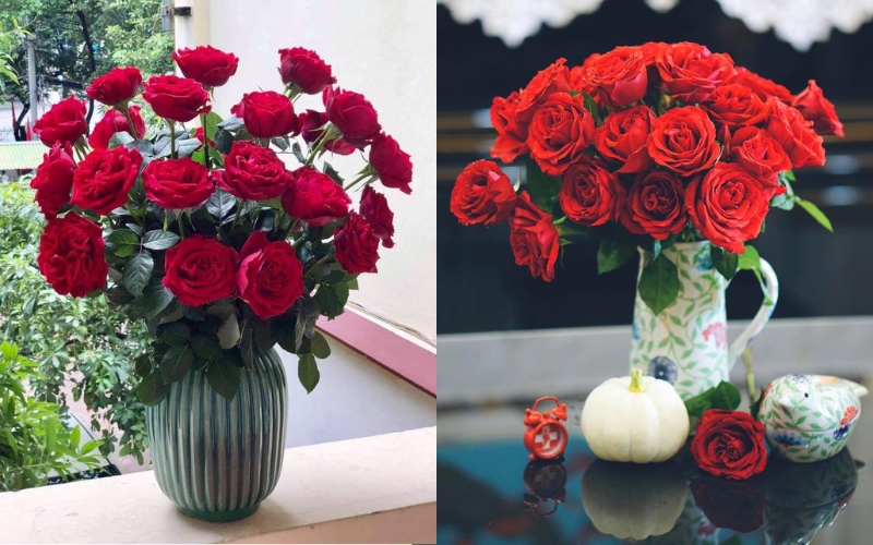 Hướng dẫn các bước cắm hoa hồng Ohara tươi lâu tại nhà