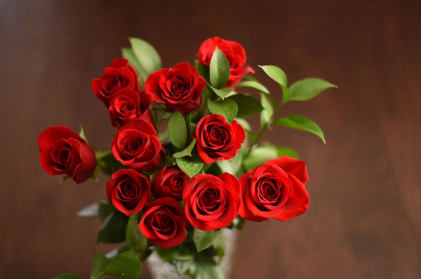 Hoa hồng dành cho yêu thương và lòng biết ơn gửi đến thầy cô