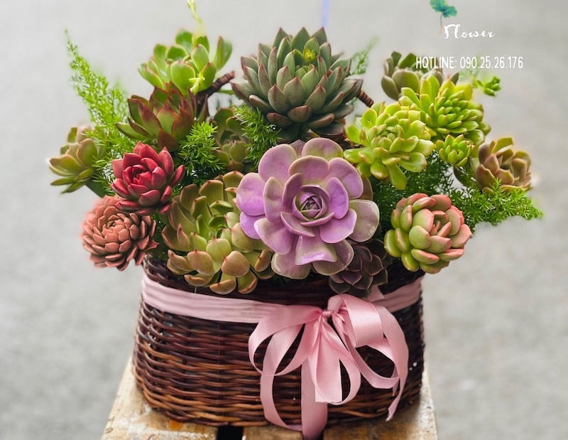 Giỏ Hoa Sen Đá - HG61