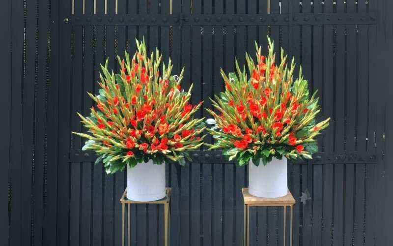 Mẫu cắm hoa huệ đỏ dáng kim tự tháp để trưng bàn thờ ngày Tết