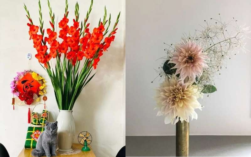 Một bình hoa huệ đỏ kết hợp với thược dược trắng sẽ là một lựa chọn không tồi để trưng bàn thờ gia tiên