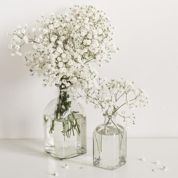 hoa bi trắng cầm tay