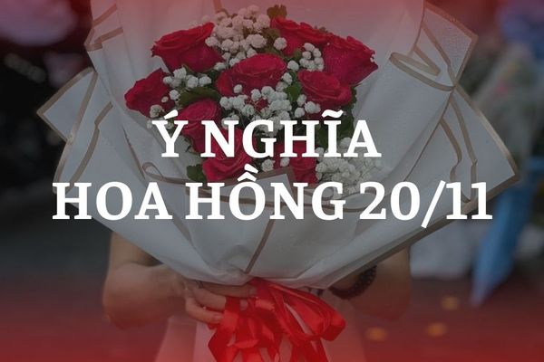 Biểu tượng hoa hồng trong ngày 20/11 mang nhiều thông điệp sâu sắc