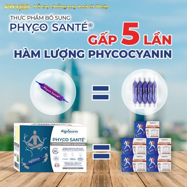 GIẢI MÃ BÍ MẬT PHYCO SANTÉ