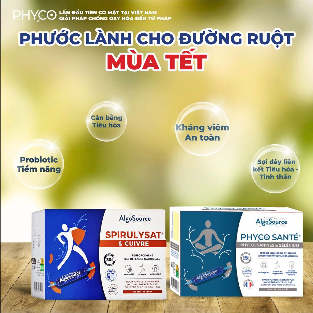 PHƯỚC LÀNH CHO ĐƯỜNG RUỘT MÙA TẾT