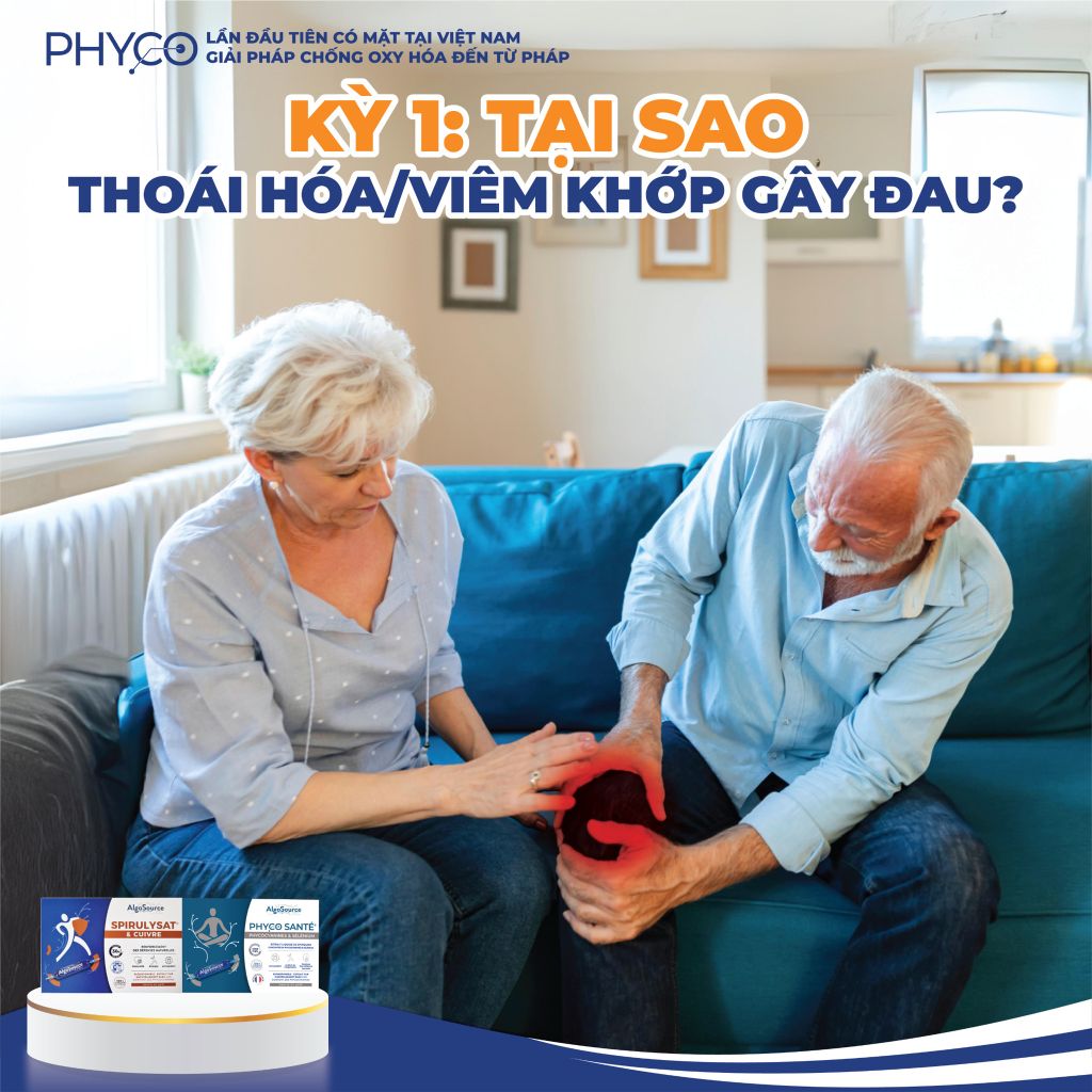 Kỳ 1: TẠI SAO THOÁI HÓA/VIÊM KHỚP GÂY ĐAU?