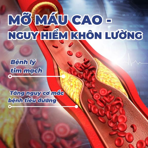 MỠ MÁU CAO - NGUY HIỂM KHÔN LƯỜNG