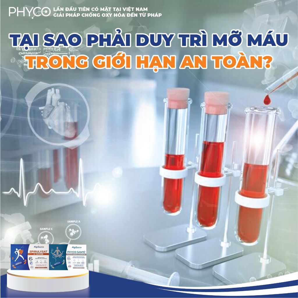 TẠI SAO PHẢI DUY TRÌ MỠ MÁU TRONG GIỚI HẠN AN TOÀN?