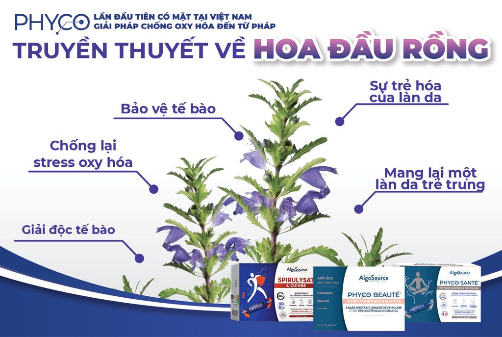 TRUYỀN THUYẾT VỀ HOA ĐẦU RỒNG