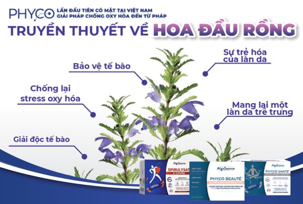 TRUYỀN THUYẾT VỀ HOA ĐẦU RỒNG